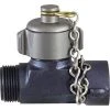 Hose Line Tee 1 NP W/ Cap & Chain, C & S Supply Wye Valves