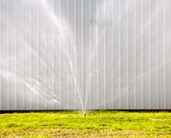 Squall Wall (1.5 Female NH ), Scotty