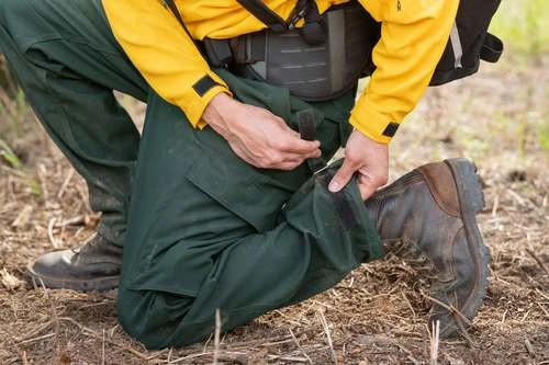 Wildland Pant Pro Level (Green), True North Brush Pants